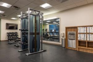 Fitness centrum a/nebo fitness zařízení v ubytování Holiday Inn Hotel & Suites St.Catharines-Niagara by IHG