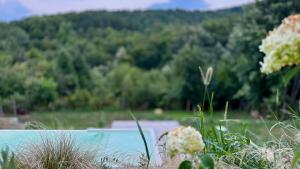 a view of a pool from a garden with flowers at Vista Verde in Oreshak +28 photos