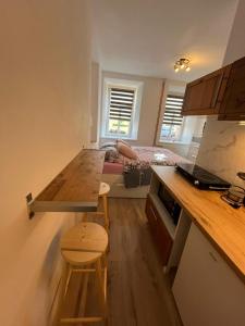 Kuchyňa alebo kuchynka v ubytovaní Apartmán Kostomlaty pod Milešovkou
