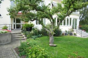 Zahrada ubytování Villa Ingrid