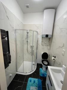 Kúpeľňa v ubytovaní Apartmán Kostomlaty pod Milešovkou