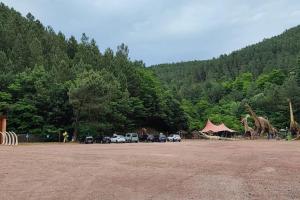 Příroda nedaleko apartmánu