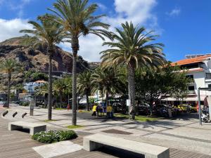 a park with palm trees and benches in a city at Farinha's Apartment in Ribeira Brava