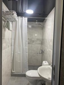 卡兹贝吉Guest house LEGIANA Kazbegi的带淋浴、马桶和水槽的浴室