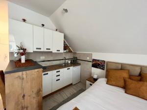 Kuchyň nebo kuchyňský kout v ubytování Apartman Pavle