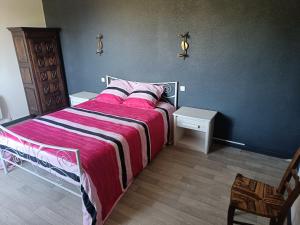 Un dormitorio con una cama grande con una manta rosa. en Véritable maison de campagne nouvellement rénovée au pied du Lubéron, en Cheval Blanc