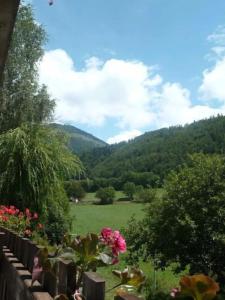 圣雷热雷梅累兹Maison charmante à Saint-Léger-les-Mélèzes avec jardin clôturé的享有山脉背景的田野景色