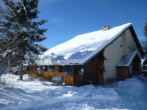 圣雷热雷梅累兹Maison charmante à Saint-Léger-les-Mélèzes avec jardin clôturé的上面有雪的房子