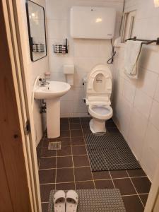 Un baño pequeño con inodoro y lavabo. en Moomoo House, en Busan