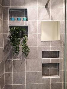 een betegelde douche met een potplant erin bij Appartement Leon-Rens, op 1 minuut van het strand in Oostende