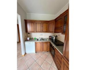 Kuchyň nebo kuchyňský kout v ubytování Apartment with garden and garage Dongo - Larihome A28