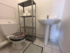 a bathroom with a toilet and a sink at A 500m Paris, 130m2 avec 4ch, balcon et parking in Le Kremlin-Bicêtre +17 photos