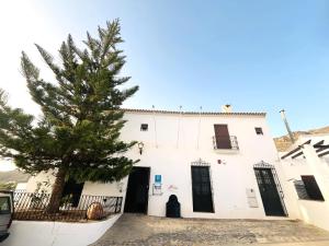 a white building with a tree in front of it at HOTEL MUSEO Lucainena in Lucainena de las Torres