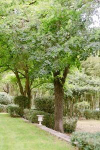 Φωτογραφία από το άλμπουμ του Château La Bruguière σε Tornac