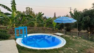 a blue pool with a chair and an umbrella at Mediterranean Studio Ratzakli in Ratzaklíon