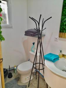 a bathroom with a white toilet and a sink at Appartement indépendant a Carcassonne in Carcassonne