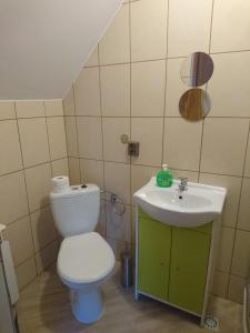 un baño con inodoro y lavabo en U Kasprów, en Zakopane 30 fotos más