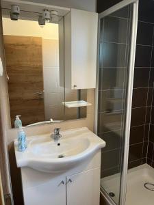 une salle de bain avec lavabo et douche dans l'établissement Apartments Dumicic, à Rab