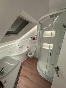 a bathroom with a shower and a sink and a toilet at Helles, modernes Appartement in Nuremberg +13 photos