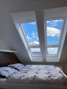 a bedroom with two skylights and a bed in a attic at Helles, modernes Appartement in Nuremberg