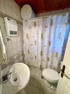 a bathroom with a sink and a toilet and a shower curtain at Petra Maisonettes in Kariá +19 photos