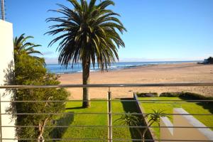 斯瓦科普蒙德Ocean Dream Beach Villa的阳台享有海滩美景。