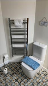 ein Badezimmer mit einem WC und einem blauen Teppich auf dem Boden in der Unterkunft East Trayne Holiday Cottages in South Molton + 65 Fotos
