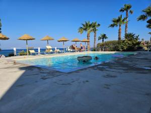 a large swimming pool with palm trees and umbrellas at Pescasubacquea in Crotone
