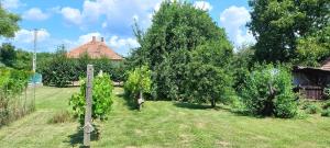 a garden with trees and a house in the background at Bukkaranyos in Sály