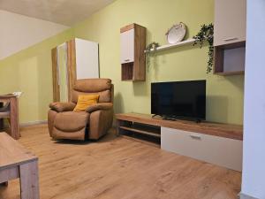 Μια τηλεόραση ή/και κέντρο ψυχαγωγίας στο Apartmani Ljuba