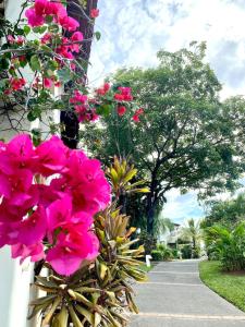 สวนหย่อมนอก Turtle's Nest Condo