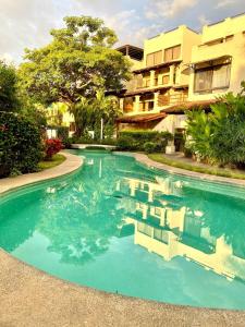 สระว่ายน้ำที่อยู่ใกล้ ๆ หรือใน Turtle's Nest Condo