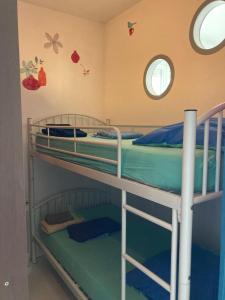 two bunk beds in a room with two windows at Face Mer 2 chambres parking in Hossegor