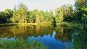 Příroda nedaleko apartmánu