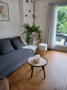 Una sala de estar con un sofá azul y una mesa. en L'Oxymore, en Hastière-par-delà