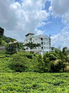 a white building on a hill with palm trees at Bellwood Hills Resort & Spa in Kandy