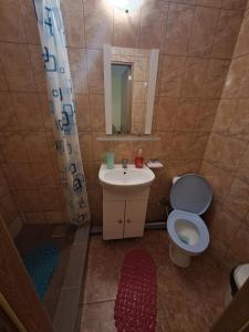 a bathroom with a sink and a toilet and a mirror at Casa Vlad in Costinesti