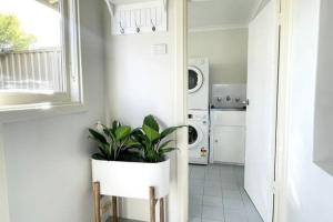 South FremantleにあるRosa's Place Close To South Beachの椅子に置かれた植物のある白い洗濯室 +11枚の写真