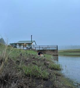 Un perro parado al lado de una casa al lado de un cuerpo de agua. en Oakridge Farm Cottage, en Nottingham Road 1 foto más