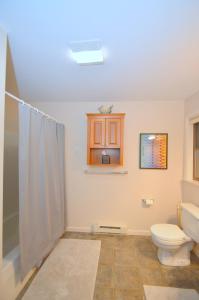 a bathroom with a toilet and a shower at Ahh ... Riverwood in Morton Grove +70 photos