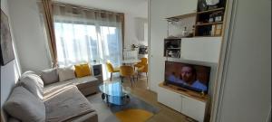 a living room with a couch and a tv at ApparTerrasse in Alfortville