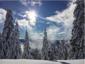 Loodusmaastik apartemendi lähedal