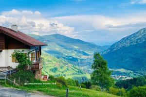 Priroda u blizini apartmana