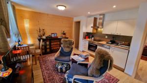 Kuchyň nebo kuchyňský kout v ubytování Large Deluxe Studio - Chalet Lovo