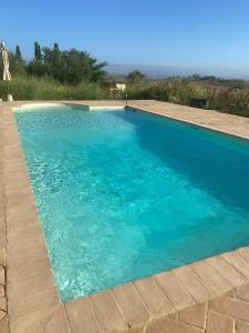 a large swimming pool with blue water at Podere Cedrola in Asciano