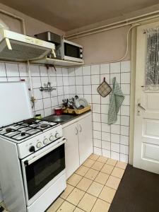 a kitchen with a white stove top oven at Naomi vendégház in Sovata