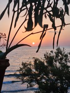 Φυσικό τοπίο κοντά σε αυτή η παραθεριστική κατοικία +115 φωτογραφίες