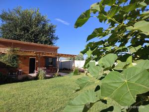 Una casa con un gran árbol frondoso delante de ella. en Cabaña EL SALTO DEL DUENDE, en Carrión de los Céspedes