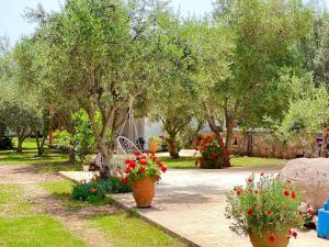 a garden with flowering plants and trees and flowers at Rida Village Ksamil Island in Ksamil