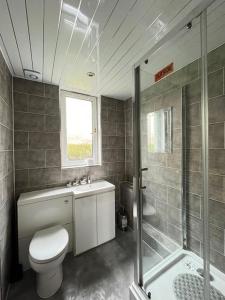 a bathroom with a toilet and a shower at 2 Bedrooms Holiday home in Edinburgh near City Center in Edinburgh